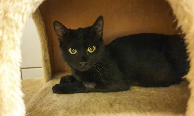 GUNDULA sucht liebevolles Zuhause GUNDULA sucht liebevolles Zuhause