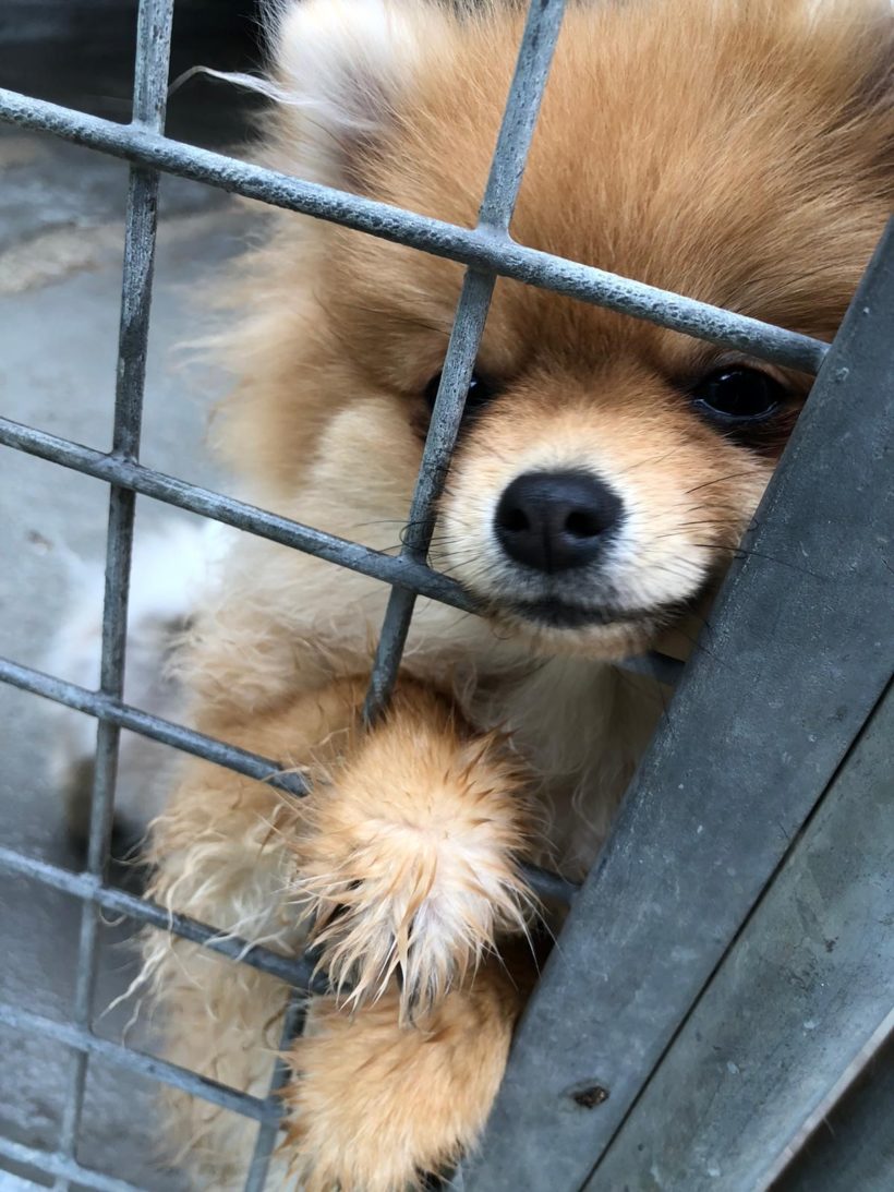 Unschuldig hinter Gittern
