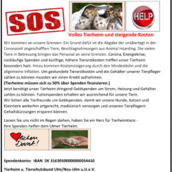 SOS Tierheim am Limit