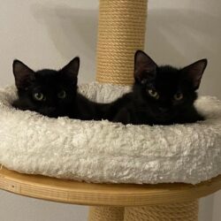 NALA und NICKI