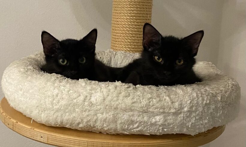 NALA und NICKI
