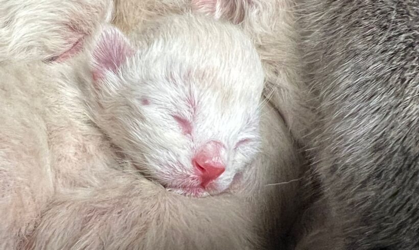 PFLEGESTELLE gesucht