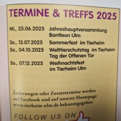 Termine 2025