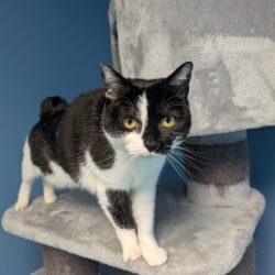 LUNA