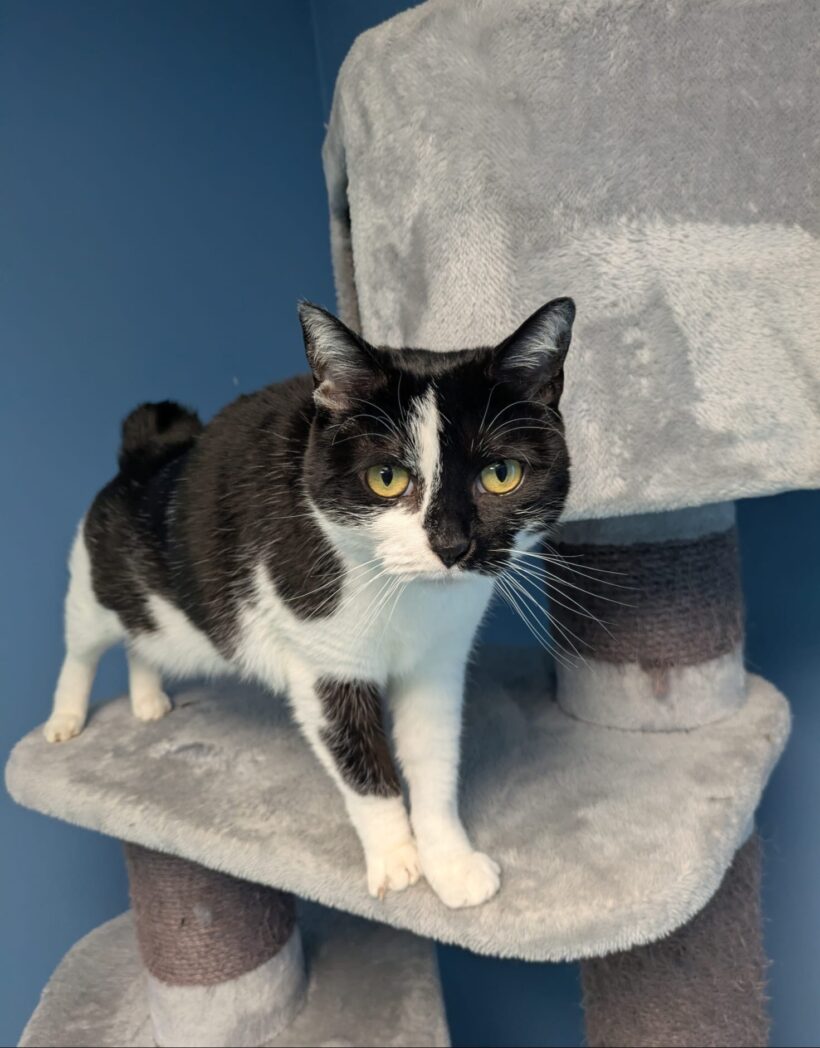 LUNA