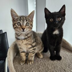 NALA und PENNY