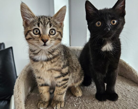 NALA und PENNY