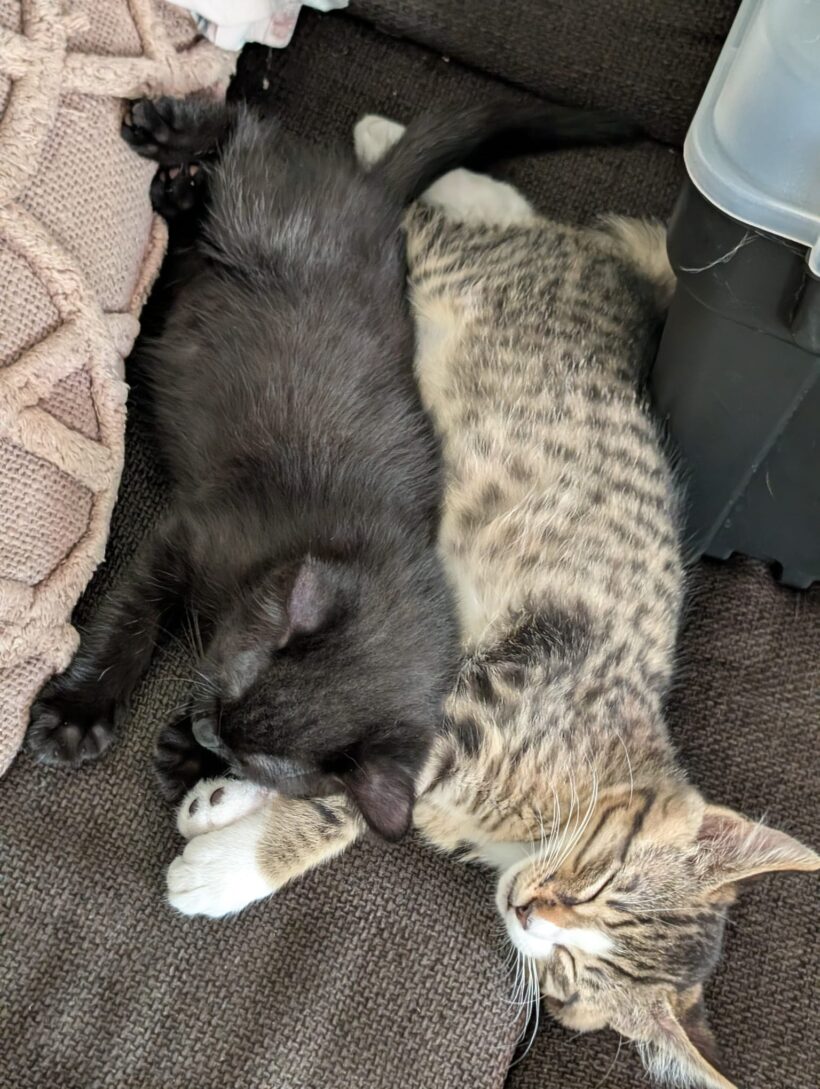 KATE und ZITA