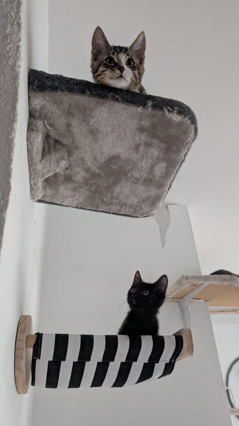 KATE und ZITA