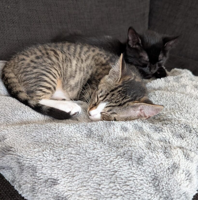 KATE und ZITA
