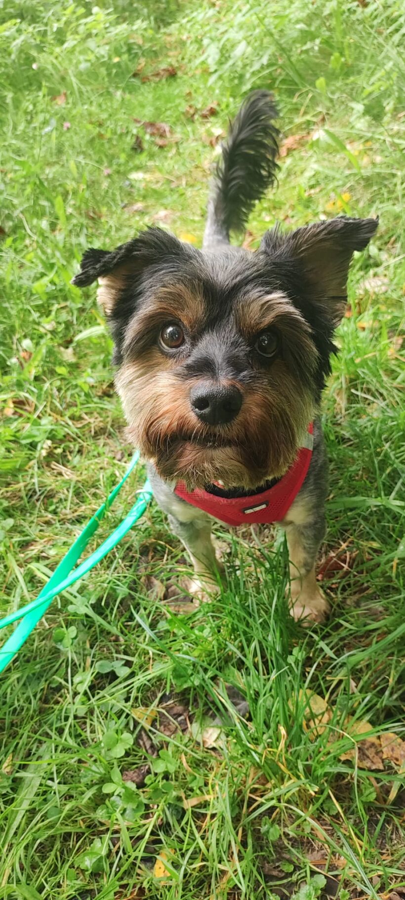 ROCKY