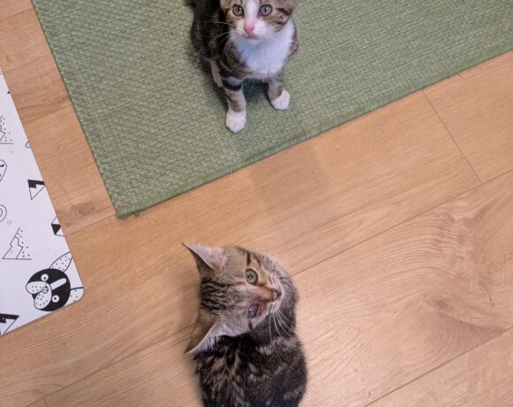 RITA und HUGO