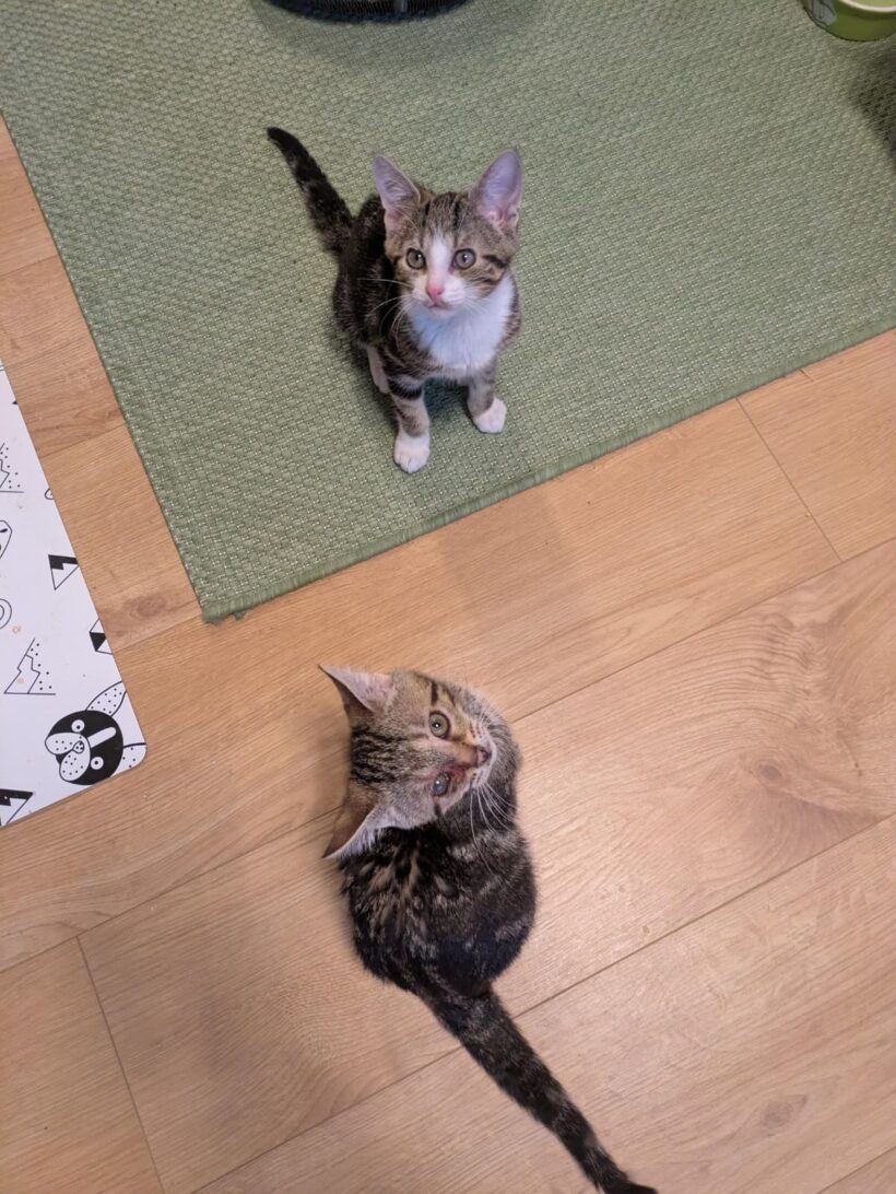 RITA und HUGO