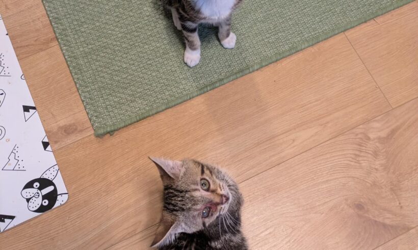 RITA und HUGO