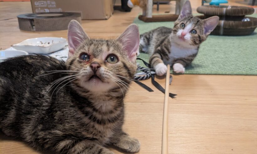 RITA und HUGO RITA und HUGO