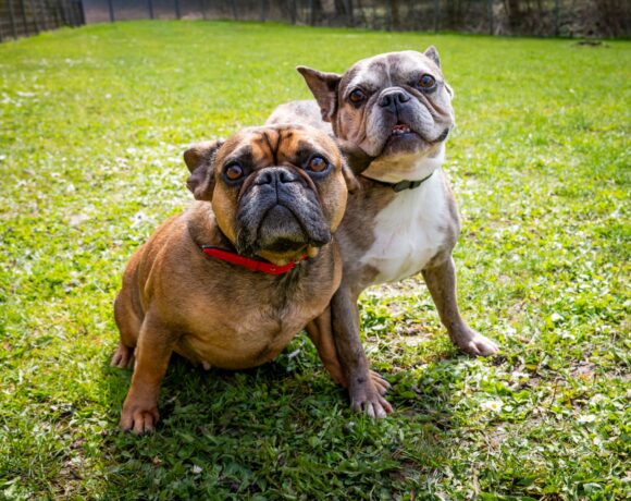 GAGA und NINA GAGA und NINA