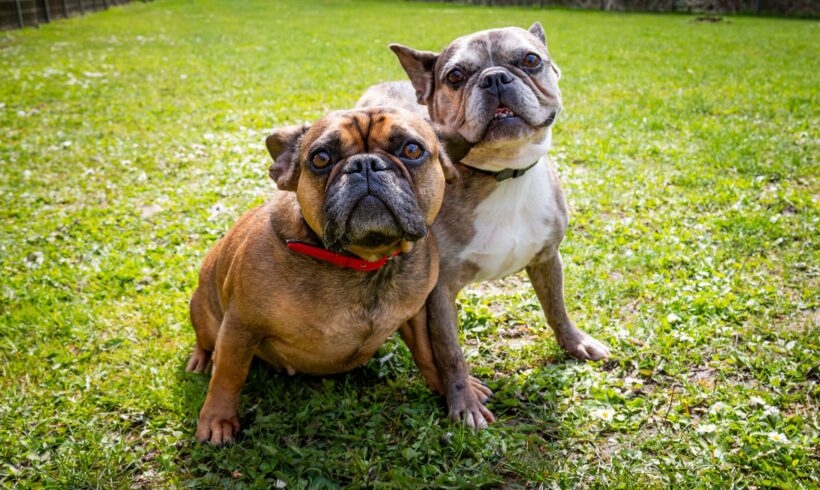 GAGA und NINA GAGA und NINA