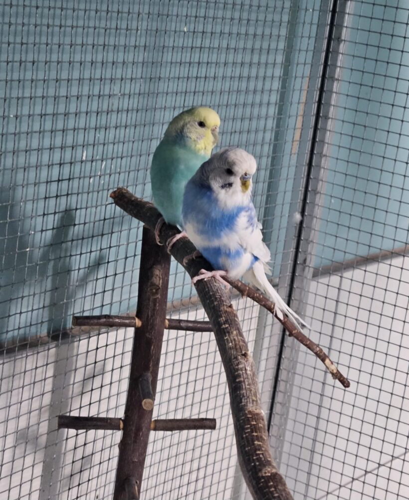 BUTZ und KARL BUTZ und KARL