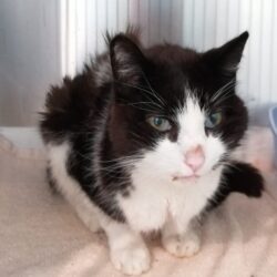 EDITH- HOSPIZPLATZ gesucht