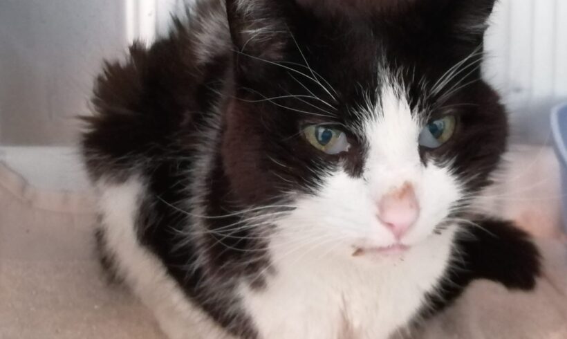 EDITH- HOSPIZPLATZ gesucht EDITH- HOSPIZPLATZ gesucht