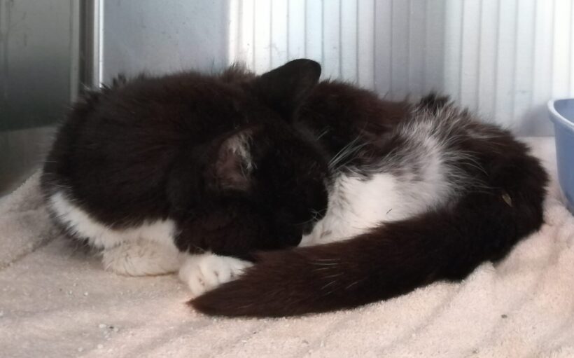 EDITH- HOSPIZPLATZ gesucht EDITH- HOSPIZPLATZ gesucht