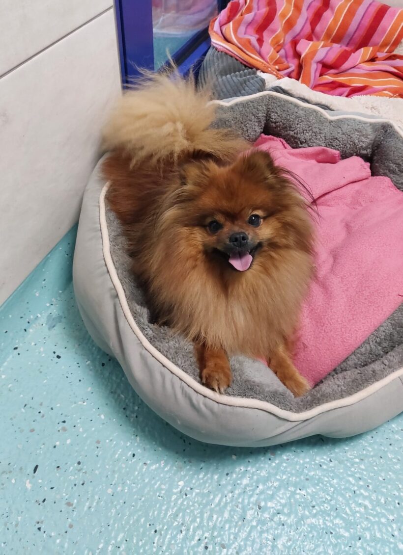 MIA