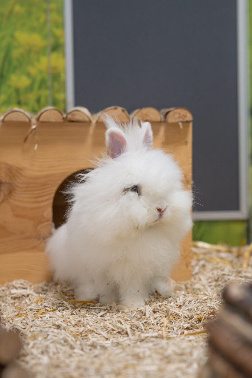 YUKI