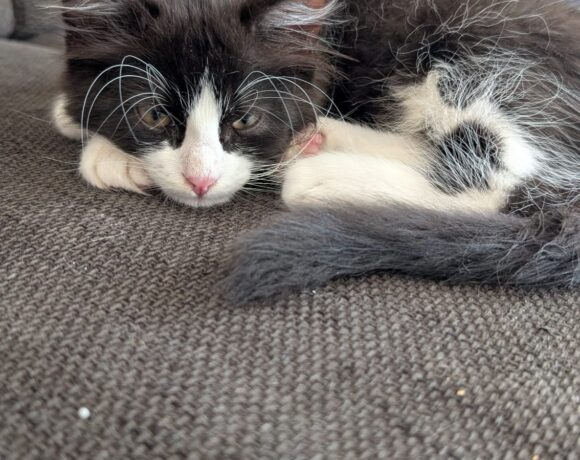 PENNY und LEONARD PENNY und LEONARD
