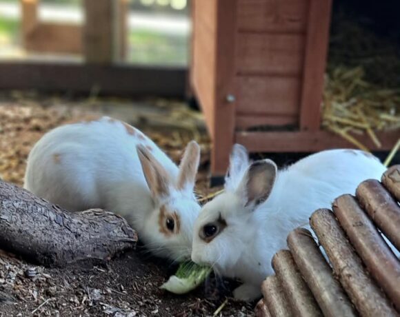 SHARON und OZZY SHARON und OZZY